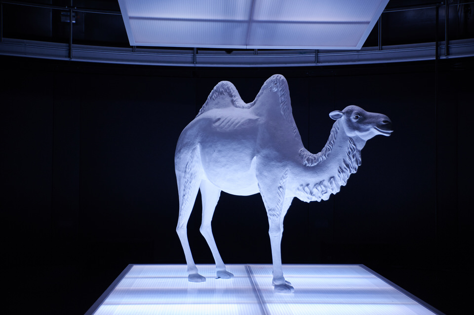  © Foto: Thomas M. Jauk 