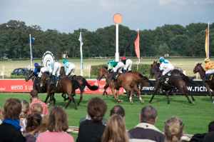  © Foto: Prinzip Gonzo 