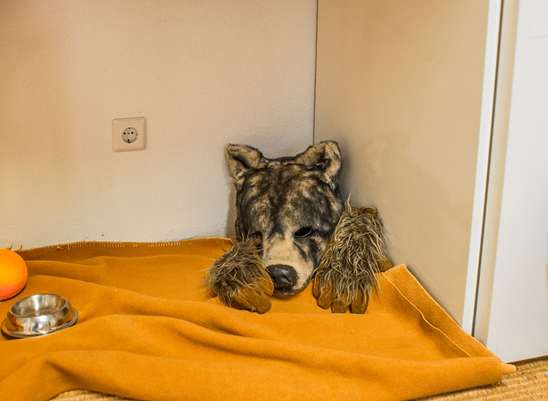  © Foto: Susanne Hartmann 